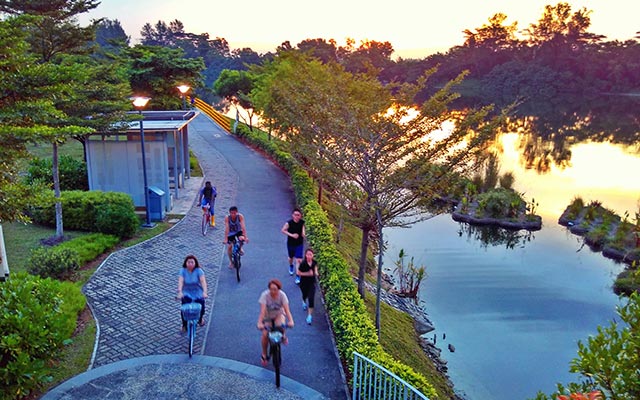 an evening shot of singaporeans cycling and jogging at punggol waterway