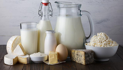 Search for Registered Health Products
